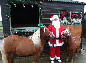 Santa and the Cuddly Ponies